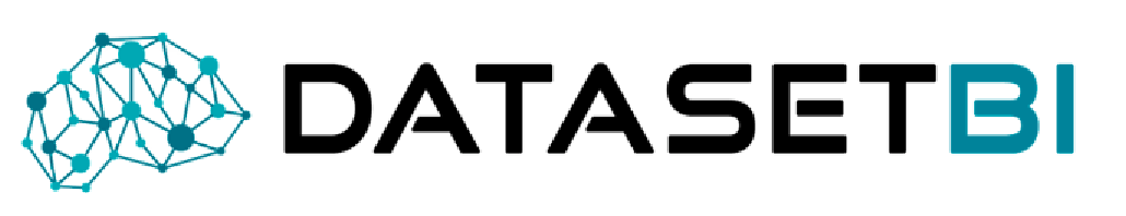 DATASETBI